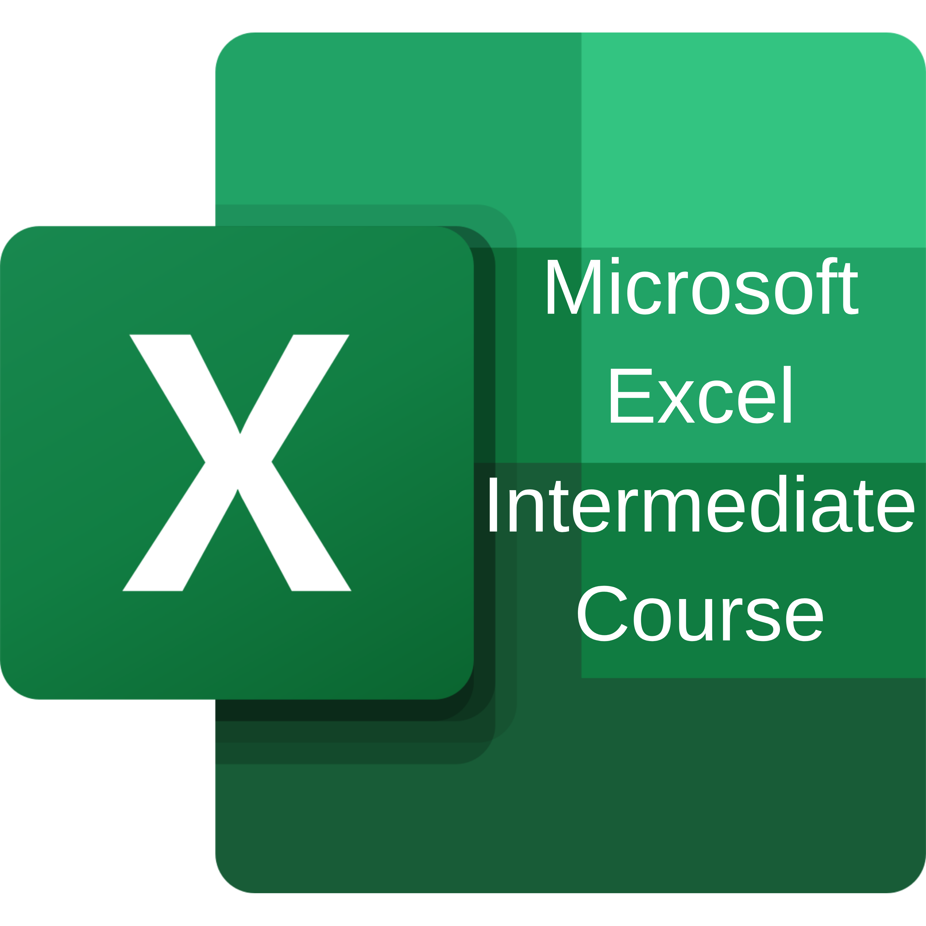 Microsoft Excel Intermediate Course
